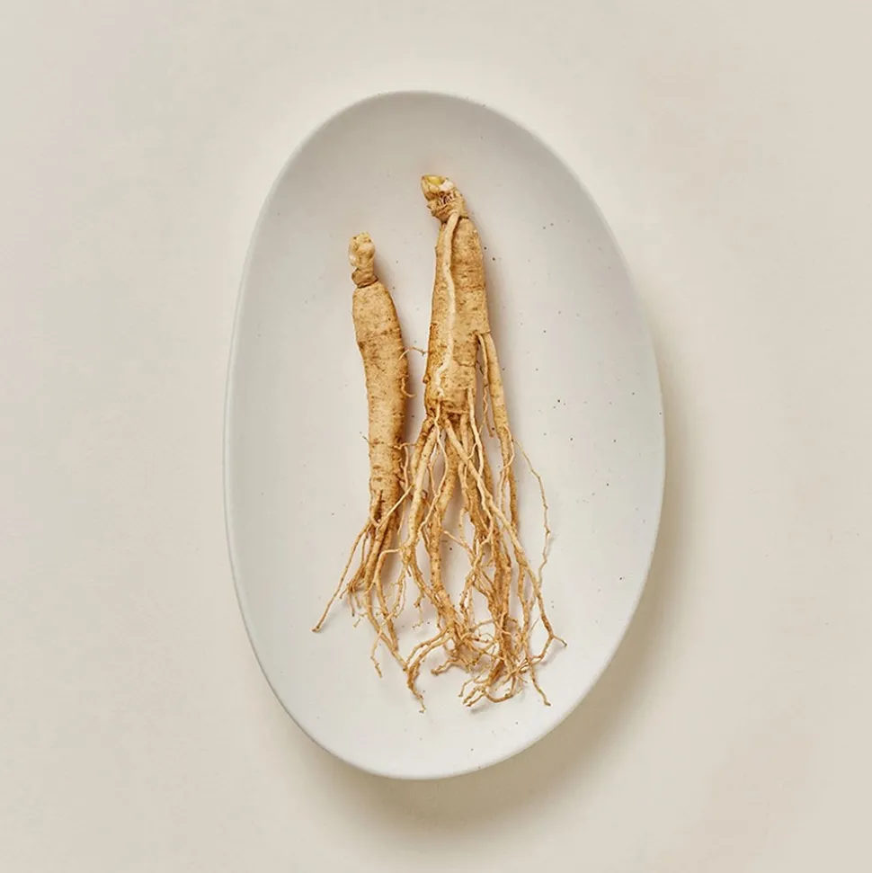 Beauty of Joseon Ginseng Moist Sun Serum (SPF 50+ PA++++)