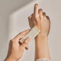 Beauty of Joseon Matte Sun Stick Mugwort + Camelia (SPF 50+ PA++++)
